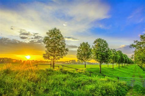 Scenery Sunrise And Sunset Field Trees Nature Wallpaper 2048x1365