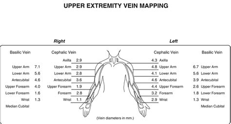 Upper Extremity Vein Mapping Ultrasound