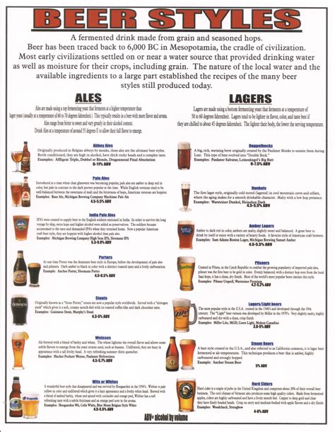 Beer Styles Craft Beer Bar Beer Infographic Beer Connoisseur
