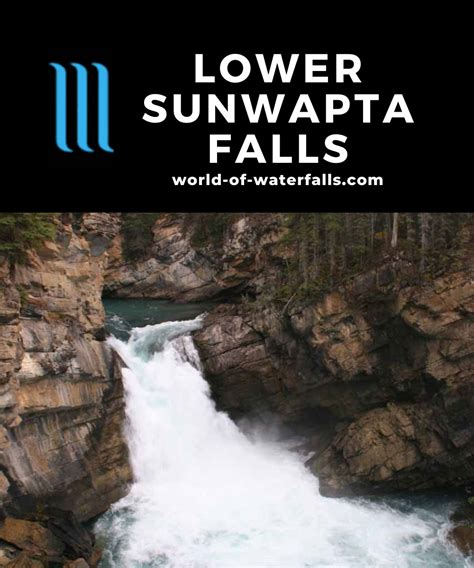 Lower Sunwapta Falls Experience The Forest And 3 Waterfalls