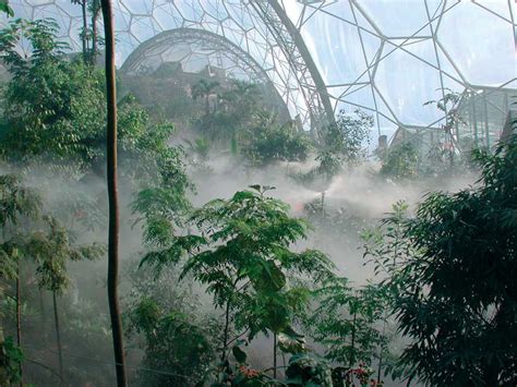 Eden Project The Worlds Largest Greenhouse
