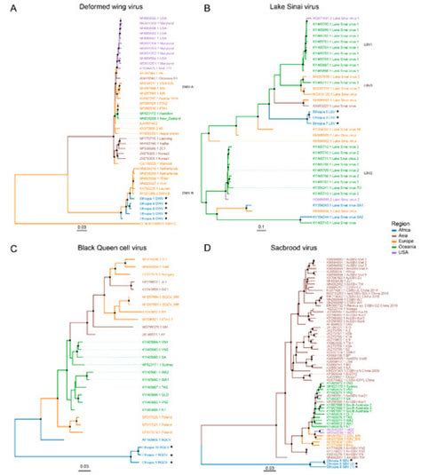 Viruses Free Full Text Metagenomic Approach With The Netovir