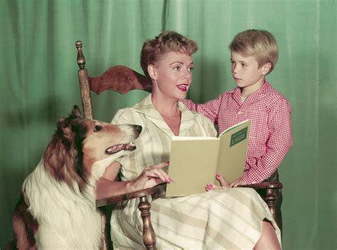 Jon Provost Aka Timmy From Lassie Worked A Normal Job Married Twice
