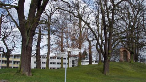 L Becker Baum Naturdenkmale Erhalten Pflege Shz