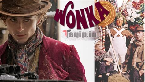Wonka Movie Release Date 2024 Star Cast Plot Teaser When Will Be Release