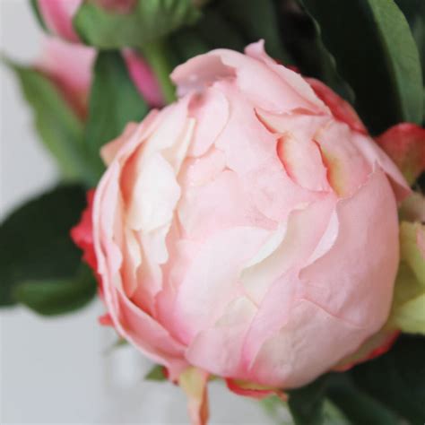 Artificial Pink Peony Arrangement In Globe Vase By Lime Tree London