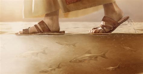 Why Jesus Walked And Why You Should Too