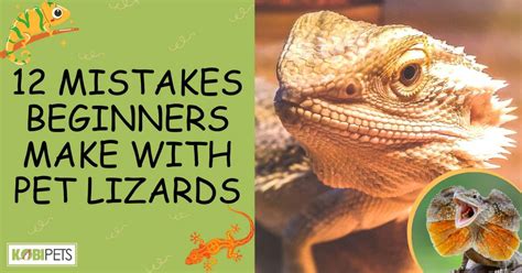 12 Mistakes Beginners Make With Pet Lizards Kobi Pets
