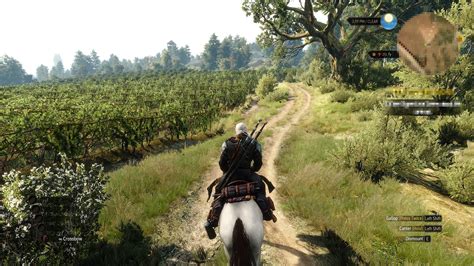 I'm talking about learning new skills, growing, levelling up and coming back to that one monster that gave. The Witcher 3: Hearts of Stone screenshots > GamersBook