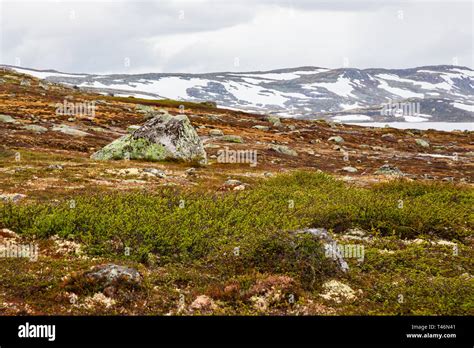 Norway Landscapes Beautiful Mountainous Landscape Around Norwegian