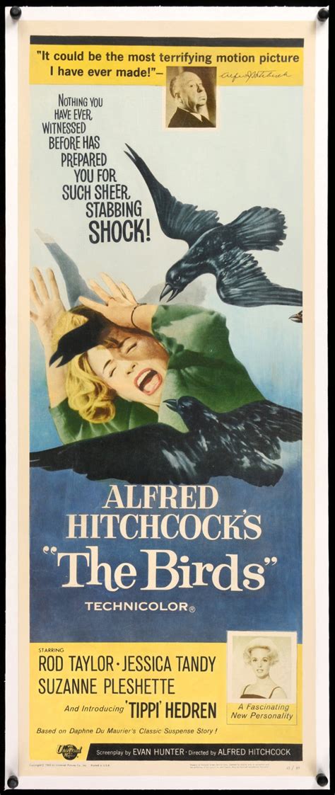 the birds 1963 original insert theatrical movie poster original film art vintage movie posters