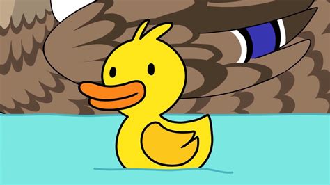 Quack Youtube