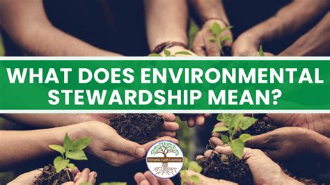 What Does Environmental Stewardship Mean