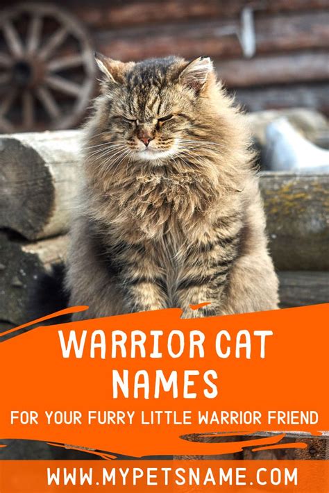The following is a list of some unique names for unique cats of any age, color, and temperament. Are you a big warrior cats fan and have spent a ...