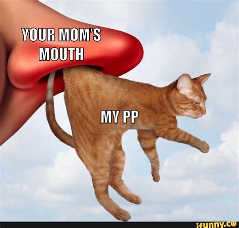 Hididly Ho Your Mom S Mouth My Pp