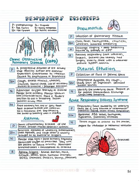 Nursing School Cheat Sheet Respiratory Disorders Nurse Study Notes