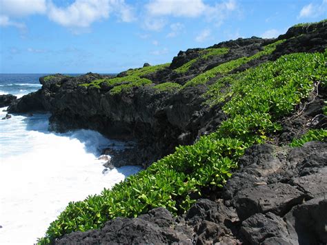 フラダンサーの定番、美しくて切ない愛の歌「Ka Makani Ka'ili Aloha(カ・マカニ・カイリ・アロハ)」 ⋆ MUSBIC/ムスビック