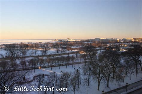 Before staying in a hotel room for the night these days, it is best to spend five minutes and check the room for bedbugs. The Essex Inn: A Hidden Jewel in Downtown Chicago