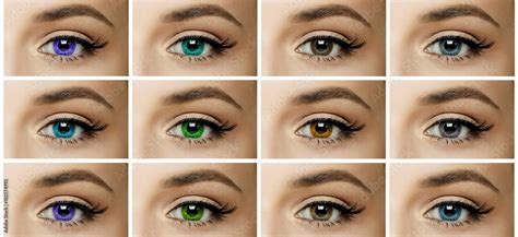 Set Collage Different Types Of Color Contact Lenses Shades Of Green Brown Blue Gray Eyes