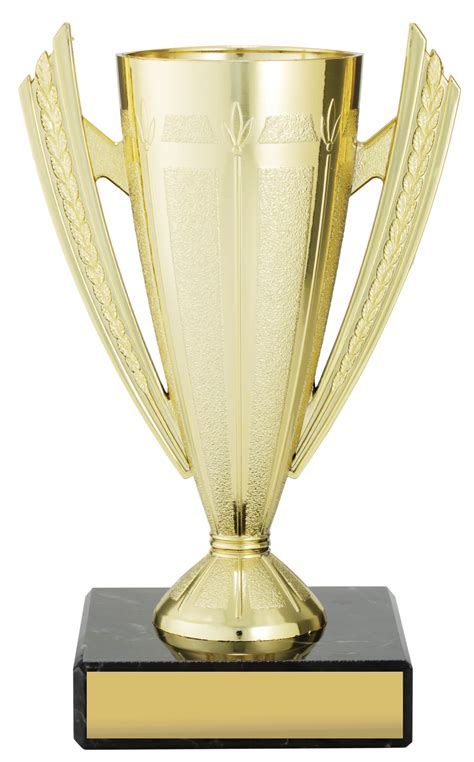 Budget Gold Cup 160mm Trophies