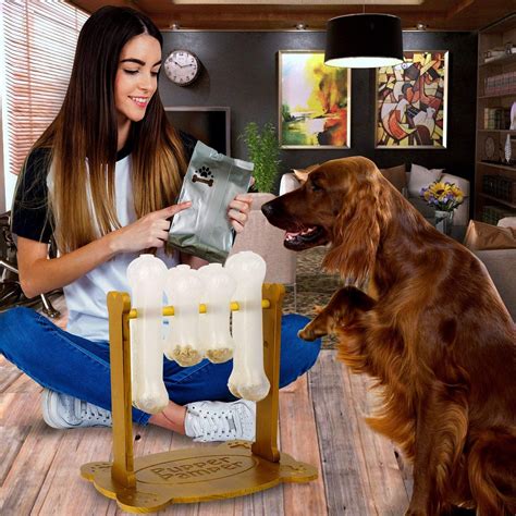 Quick and easy homemade puzzle games sondermann, christina on amazon.com. Interactive Dog Food Puzzle Toy Treat Dispensing Dogs Slow ...