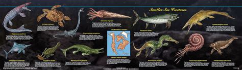 Prehistoric Sea Animals