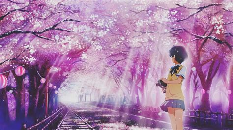 Comment installer un fond d'écran animé sublime ? Fond d'écran : Anime, Manga, fleur de cerisier, printemps ...
