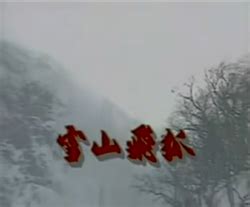 Some of the characters' names are in cantonese romanisation. The Flying Fox of Snowy Mountain (1991 TV series) - Wikipedia