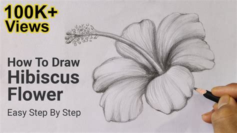 How To Draw Hibiscus Flower Easy Step By Step Drawing Lesson 6