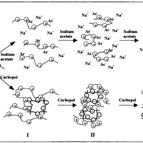 Schematic Drawing Of The Influence Of The Addition Of Sodium Acetate Or Download Scientific