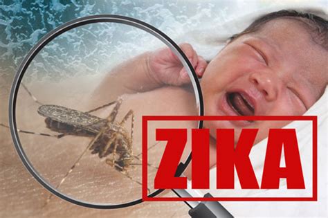 pregnant women in u s with confirmed zika virus brezden pest control