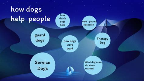 How Dogs Help People By Samantha Chapa