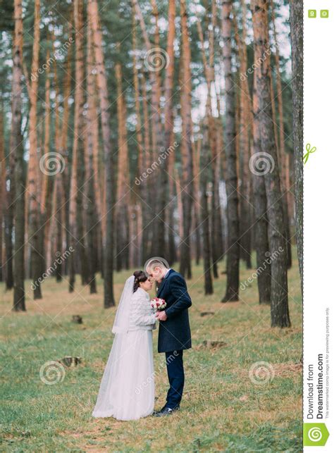 Happy Newlywed Pair Have Romantic Walking In The Young Pine Forest