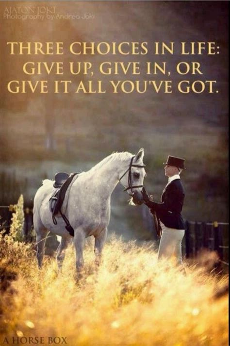 Not Just With Riding In 2020 Horse Quotes Horses Inspirational
