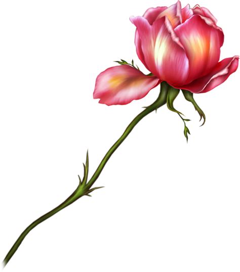 Download Free High Resolution Graphics And Clip Art Clipart Flower