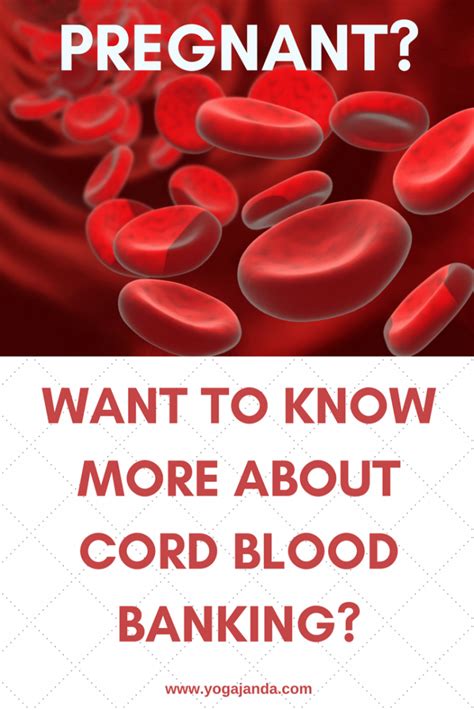 Cord blood contains cells that can be used to treat some types of diseases. Want To Know About Cord Blood Banking? | Yoga Janda
