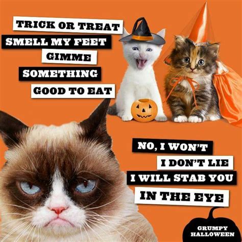 It Was A Grumpy Cat Halloween And Like Omg Get Some Yourself Some
