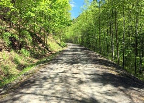 Tips For Biking The Pine Creek Rail Trail Through The Pennsylvania