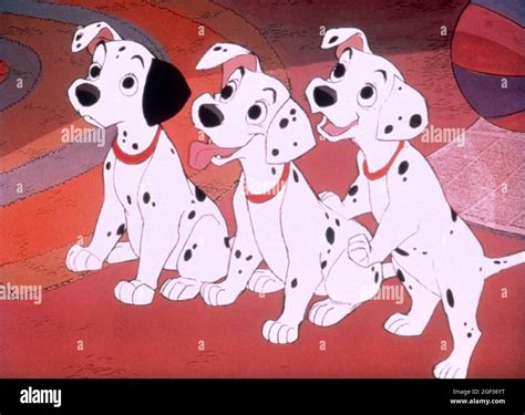 One Hundred And One Dalmatians Aka 101 Dalmatians 1961 © Walt Disney Co Courtesy Everett