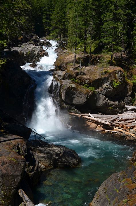 Silver falls seen from the eastside trail in mt rainier national park, washington. Be Your Best Birder: Mount Rainier National Park Birding ...