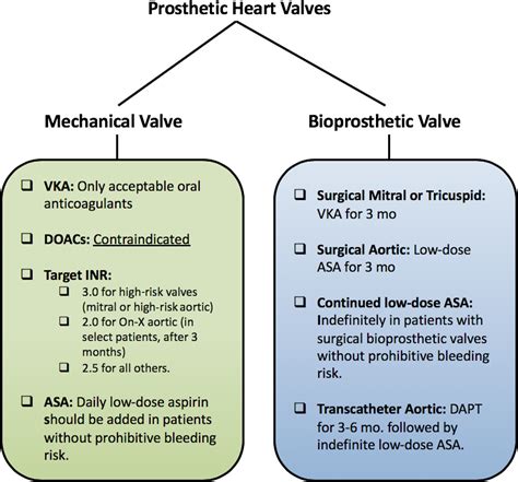 Anticoagulation In The Cardiac Patient A Concise Review Larson