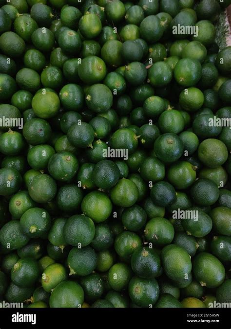 Calamansi Also Known As Calamondin Philippine Lime Or Lemon Its