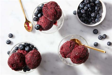Blueberry Sorbet Made With Baking Sugar Alternative Recipe King