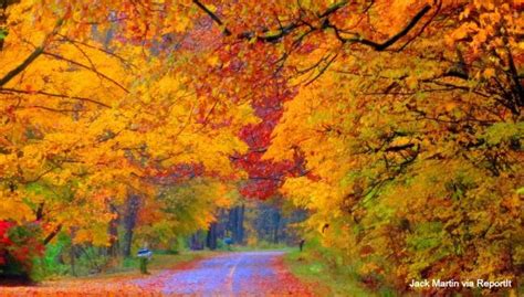 Here Are Some Of The Best Routes To Enjoy Fall Colors In West Michigan
