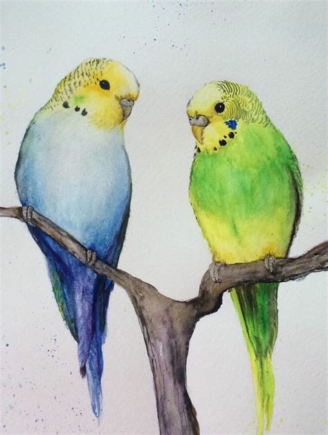Original Watercolour Painting Budgies Nancy Antoni Animal Birds