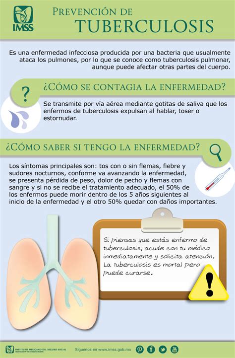Infografía Prevención De Tuberculosis
