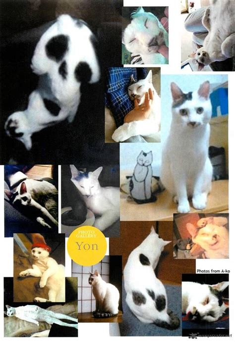 Picture Of Ito Junjis Cat Diary Yon And Mu