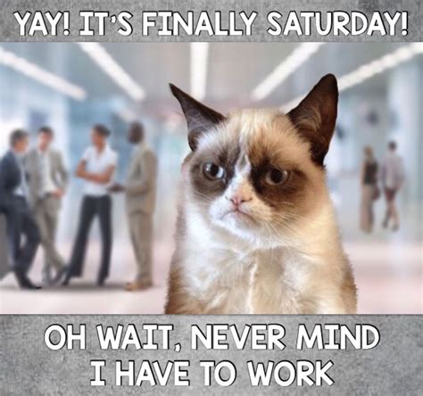 Grumpy Has To Work On Saturday Work Memes Work Humor Grumpy Cat