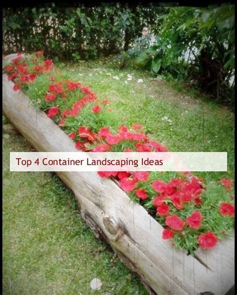 Container Landscaping Container Landscaping With Succulents Container