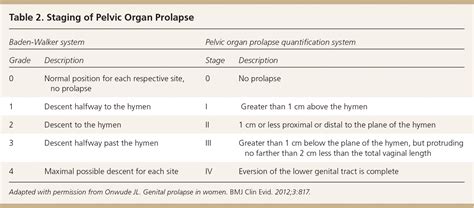 Pelvic Organ Prolapse Grading System Hot Sex Picture